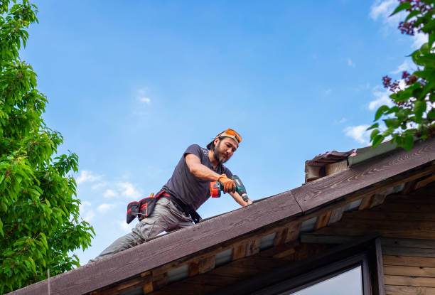 Best Roof Moss and Algae Removal  in Aetna Estates, CO